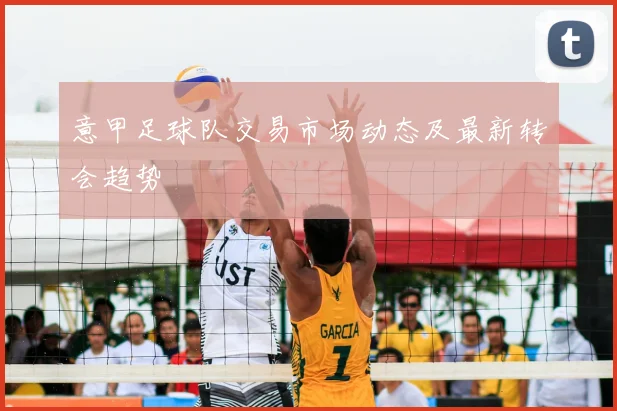 意甲足球队交易市场动态及最新转会趋势
